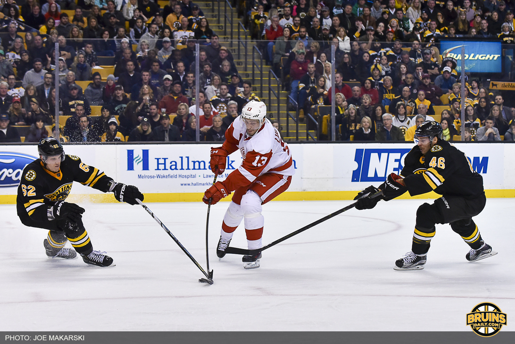 Bruins at Red Wings