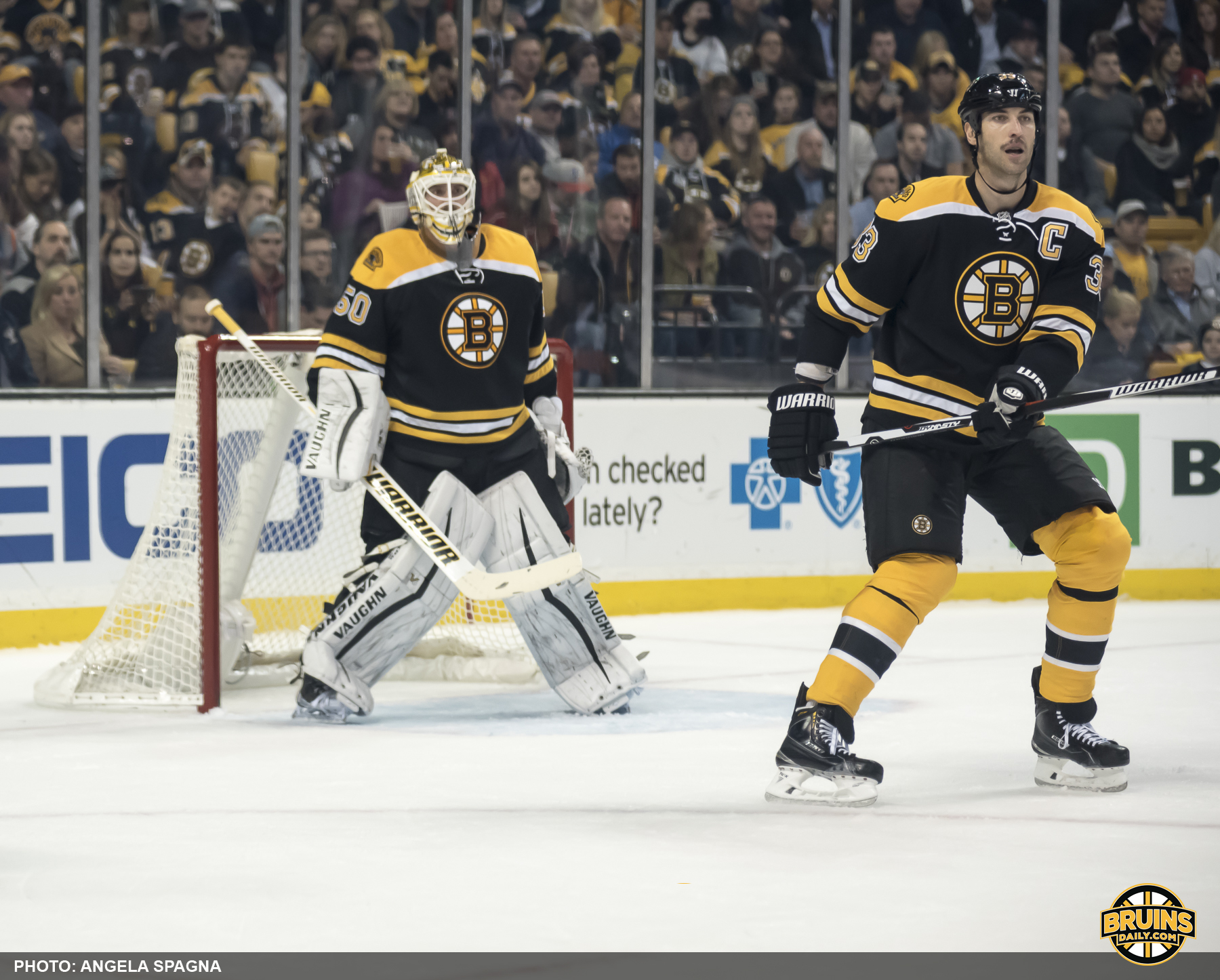 Predators at Bruins