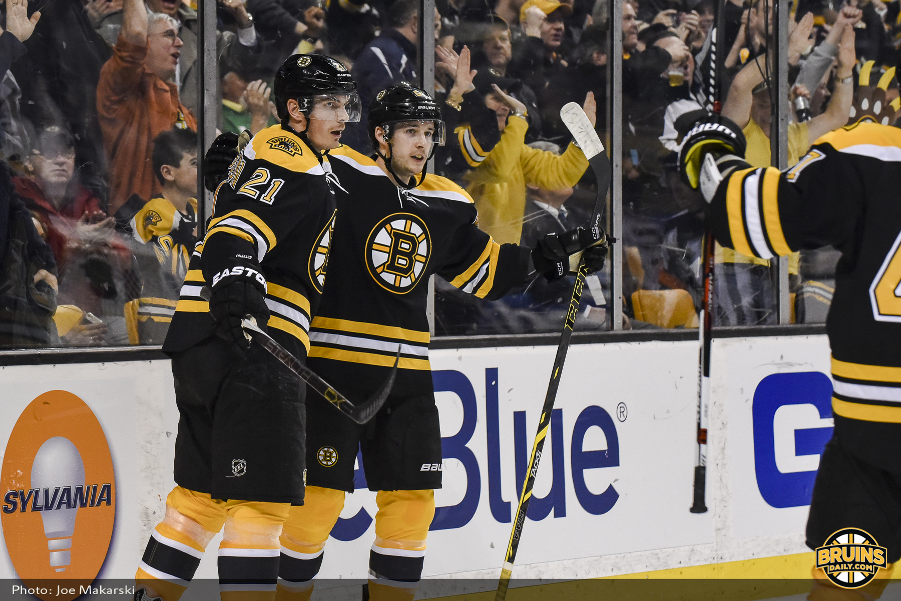 Ducks at Bruins