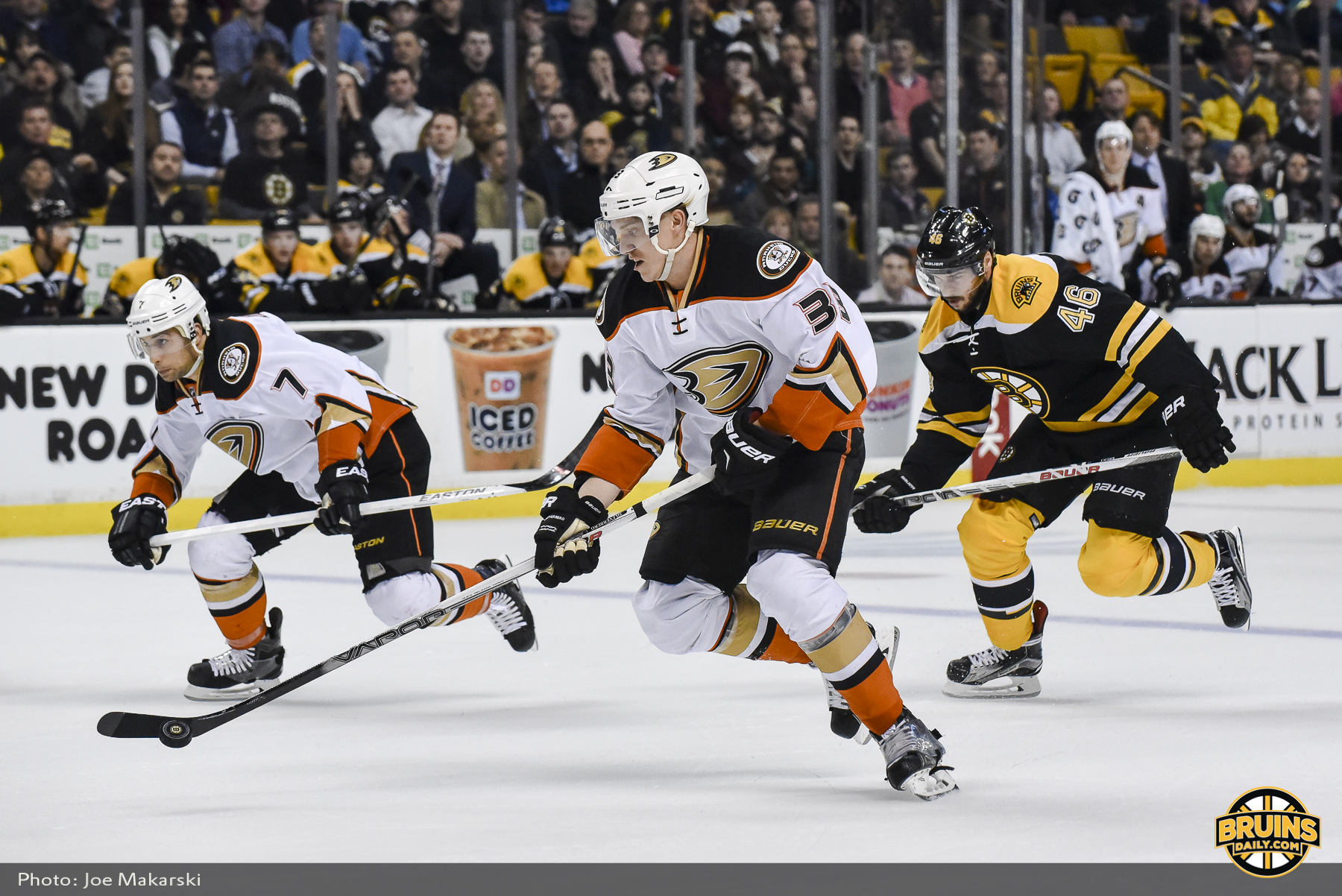 Ducks at Bruins