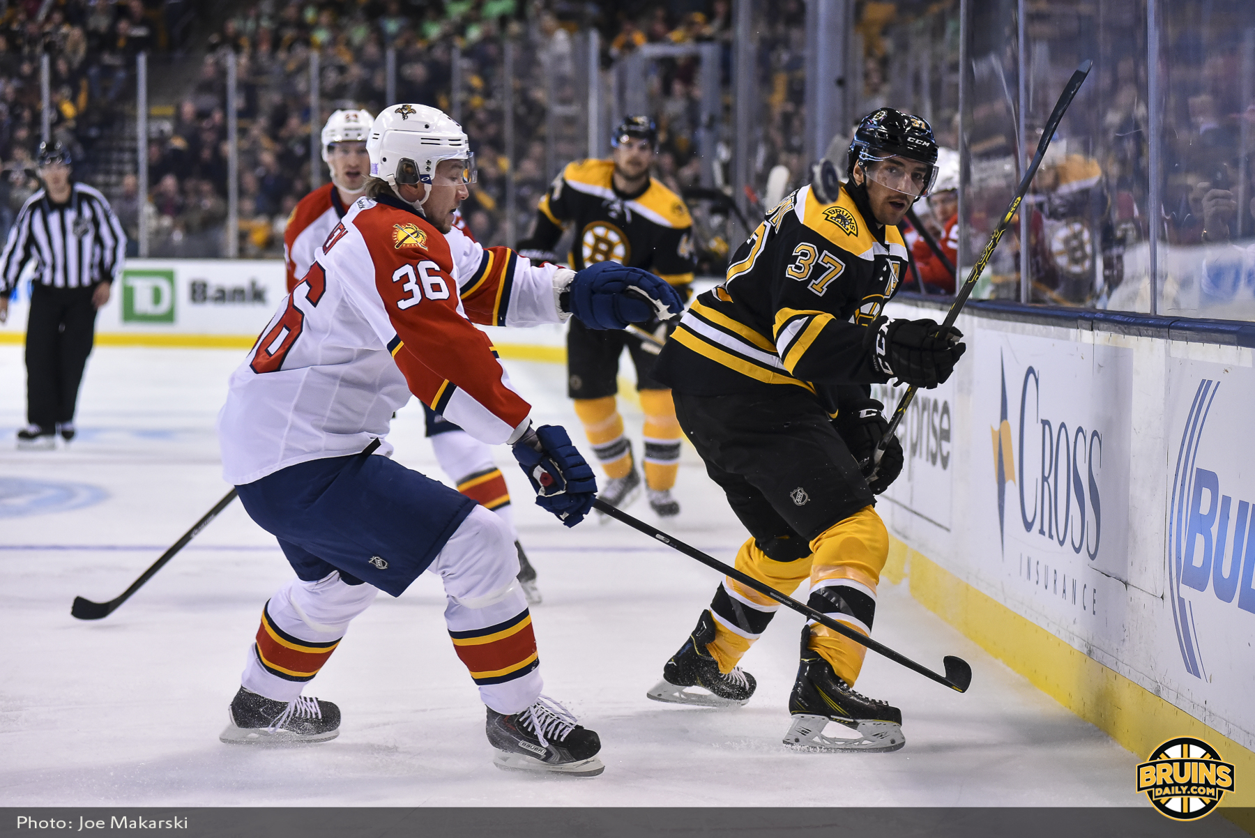 Panthers at Bruins